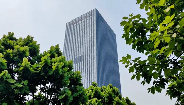 外贸独立站部署中如何权衡服务器选择与托管模式